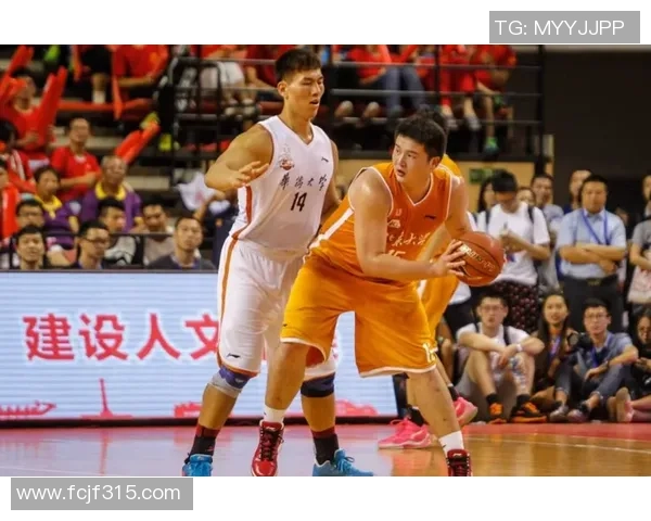 李静专访:深入探讨篮球成功背后的秘诀与心路历程